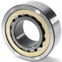 Cylindrical roller bearing N204