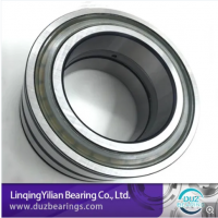 Nnf5016 SL04 5016 80x125X60mm Cylindrical Roller Bearing SL04-5016PP