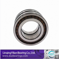 Precision Full Cylindrical Roller Bearing SL04-5009PP/Nnf5009 Dad-2lsv