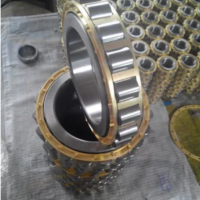 Cylindrical Roller Bearing Self-Aligning Roller/Needle Roller Bearing Factory