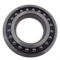 import export bearing Self-Aligning Ball Bearings 1219