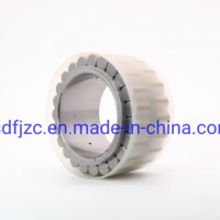 Made in Slovakia Cylindrical Roller Bearing F-218974.01 Full Roller Bearings