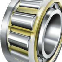 high accuracy cylindrical roller bearing NF300 Series